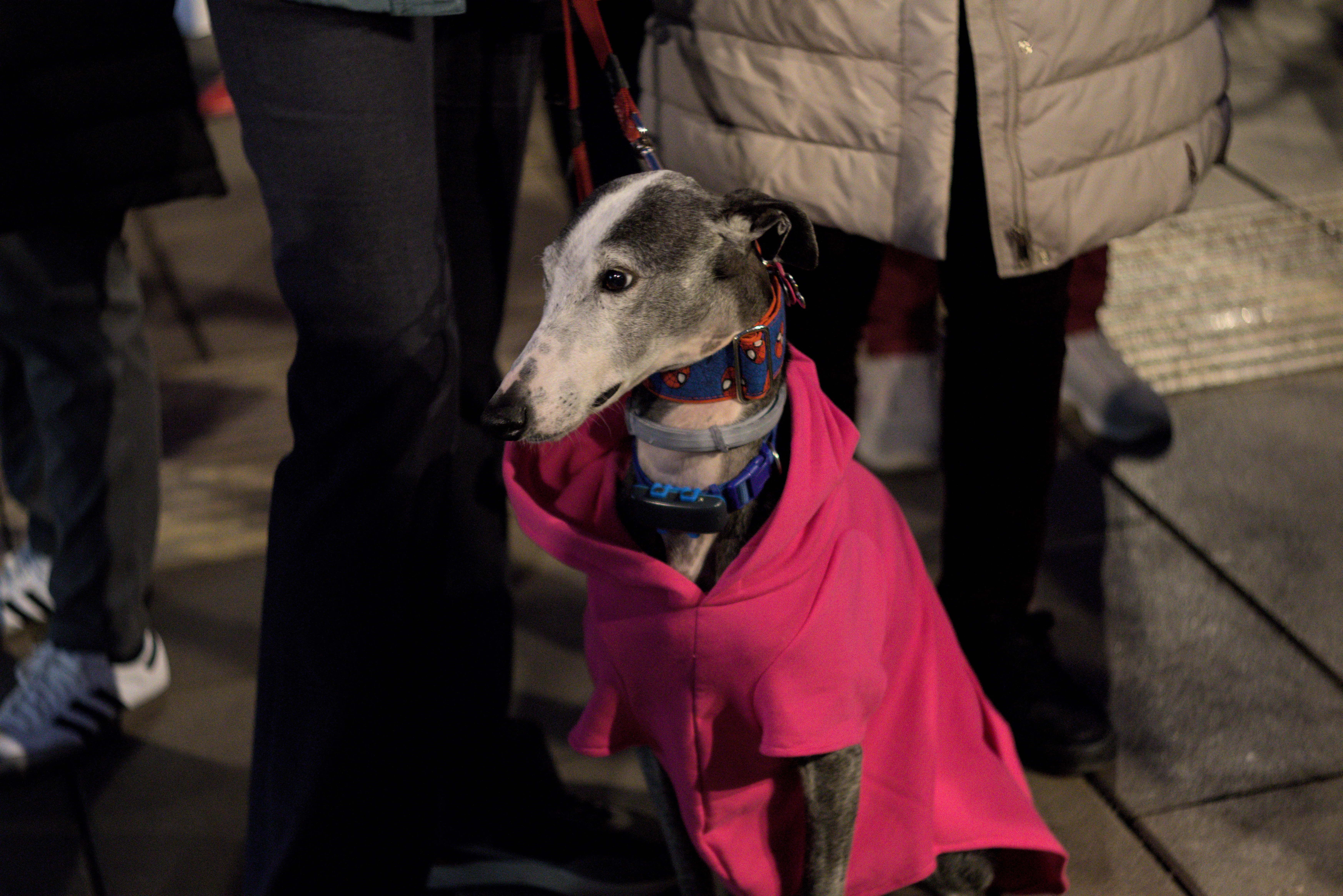 Zenith Helios-77M-4 1,850 (VOMZ) - _I4A7686.webp